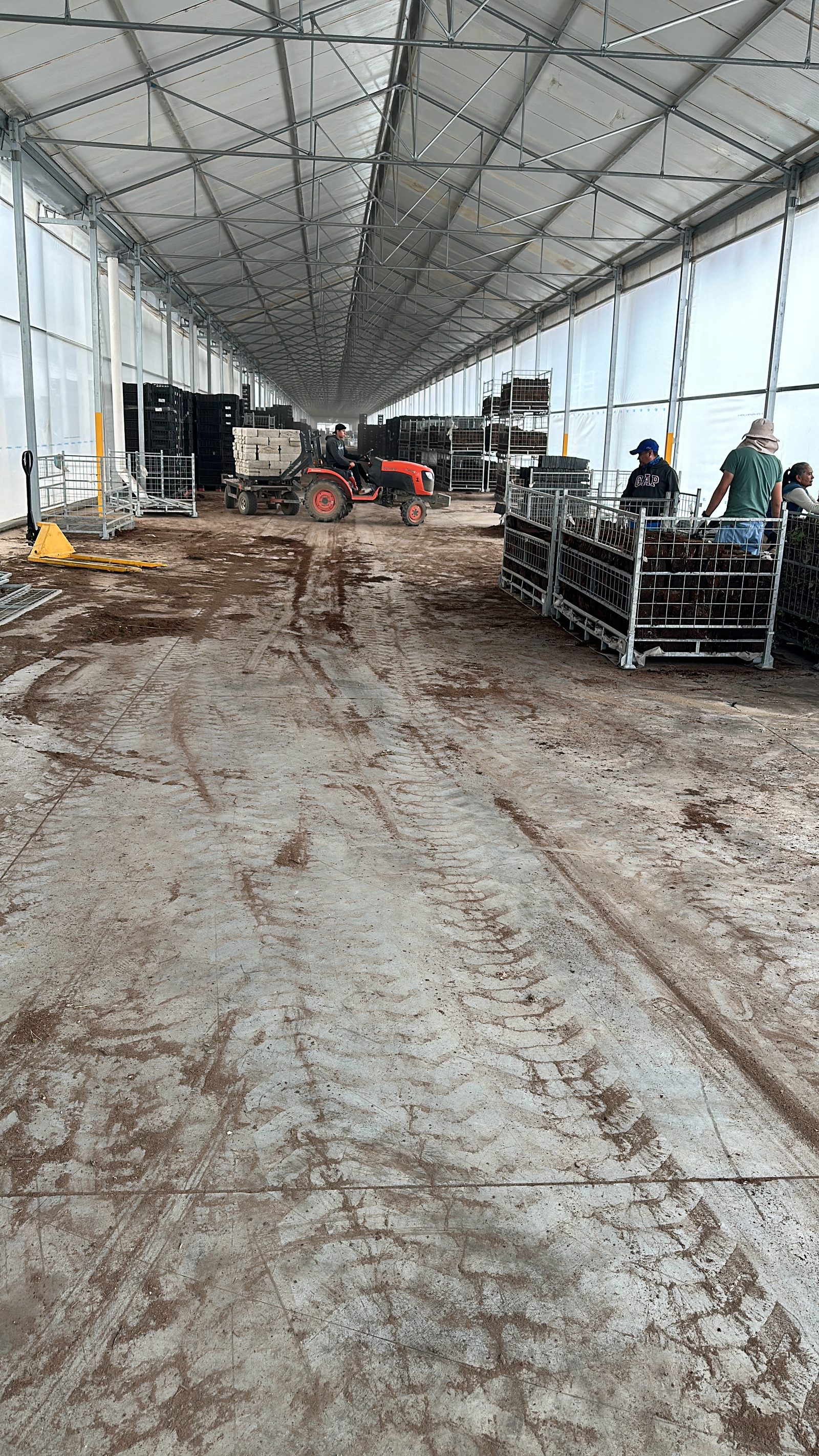 Agriculture — ALPHA 7