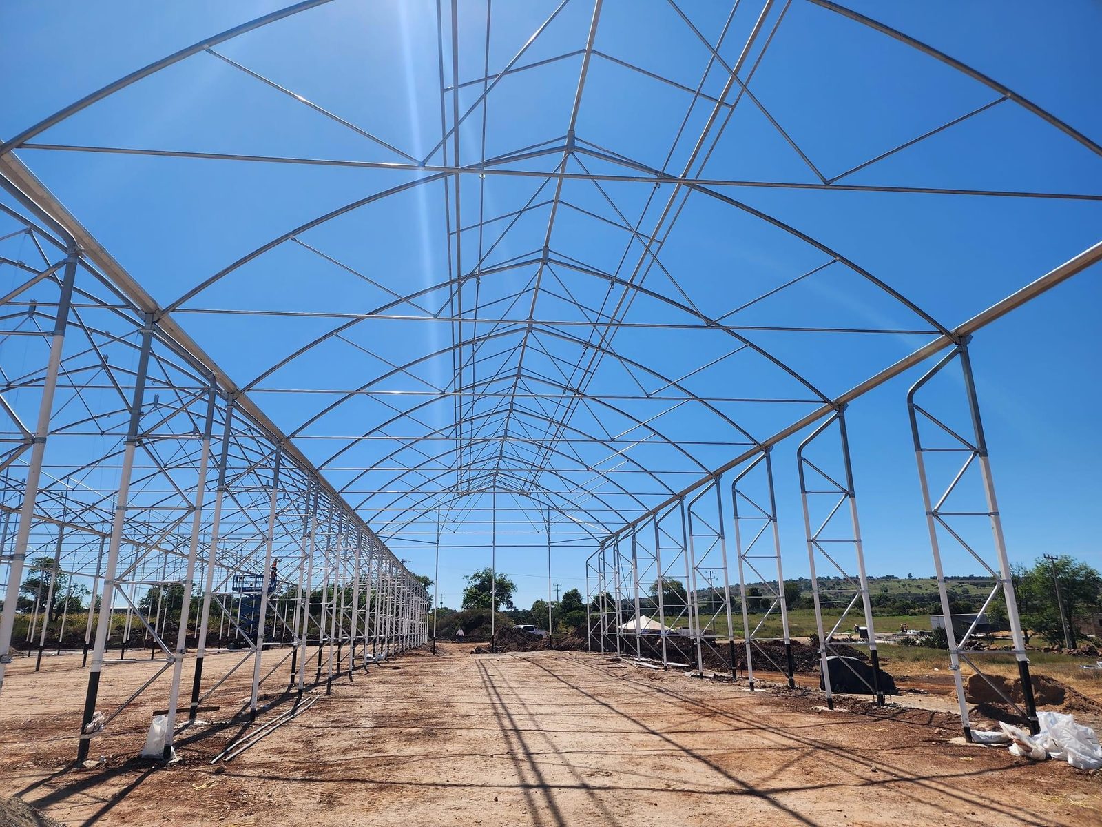 Agriculture — ALPHA 7