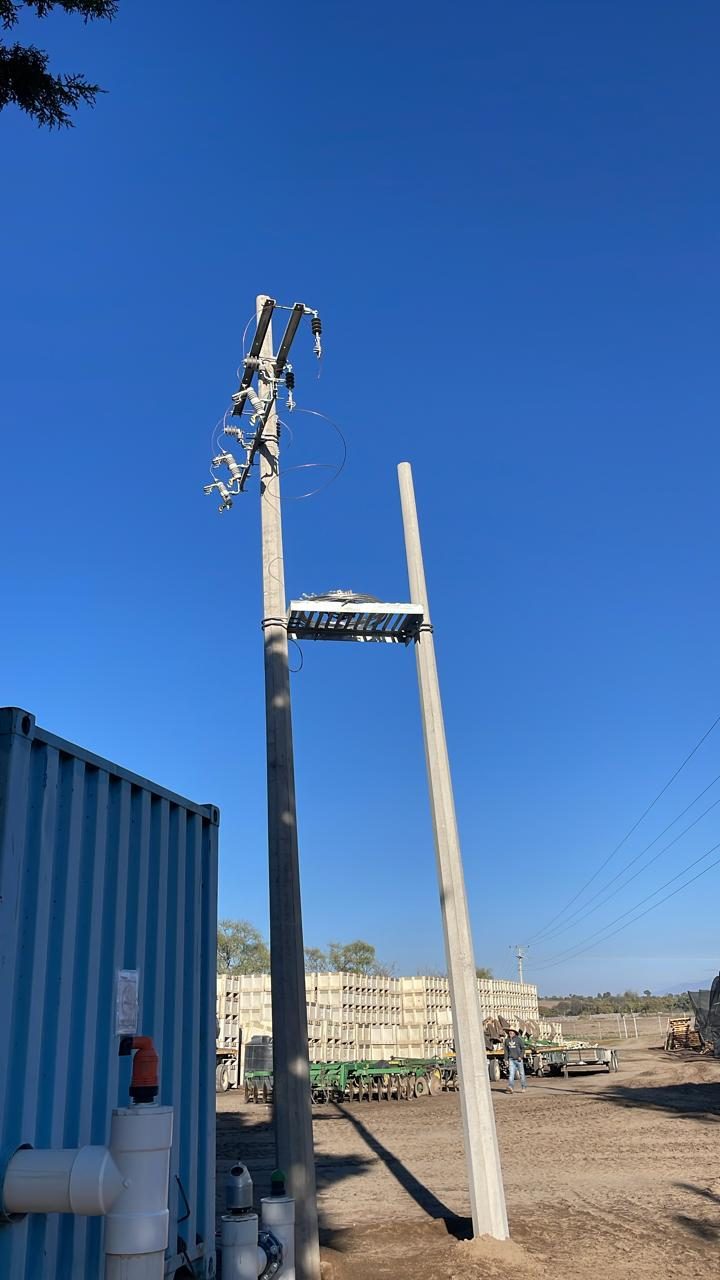 Electrical Engineering — ALPHA 7